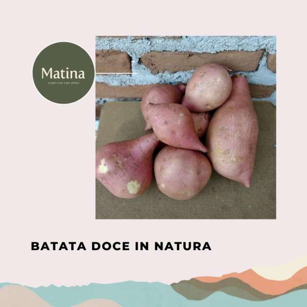 Batata doce orgânica in natura